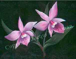 orchid flower painted in oils