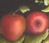 tole apples painted wet-on-wet on canvas